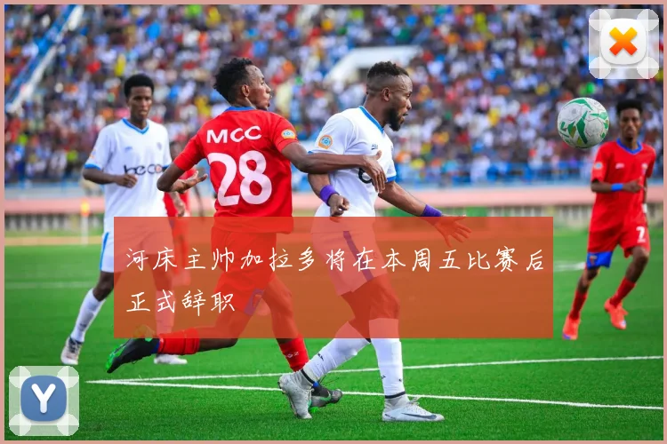河床主帅加拉多将在本周五比赛后正式辞职